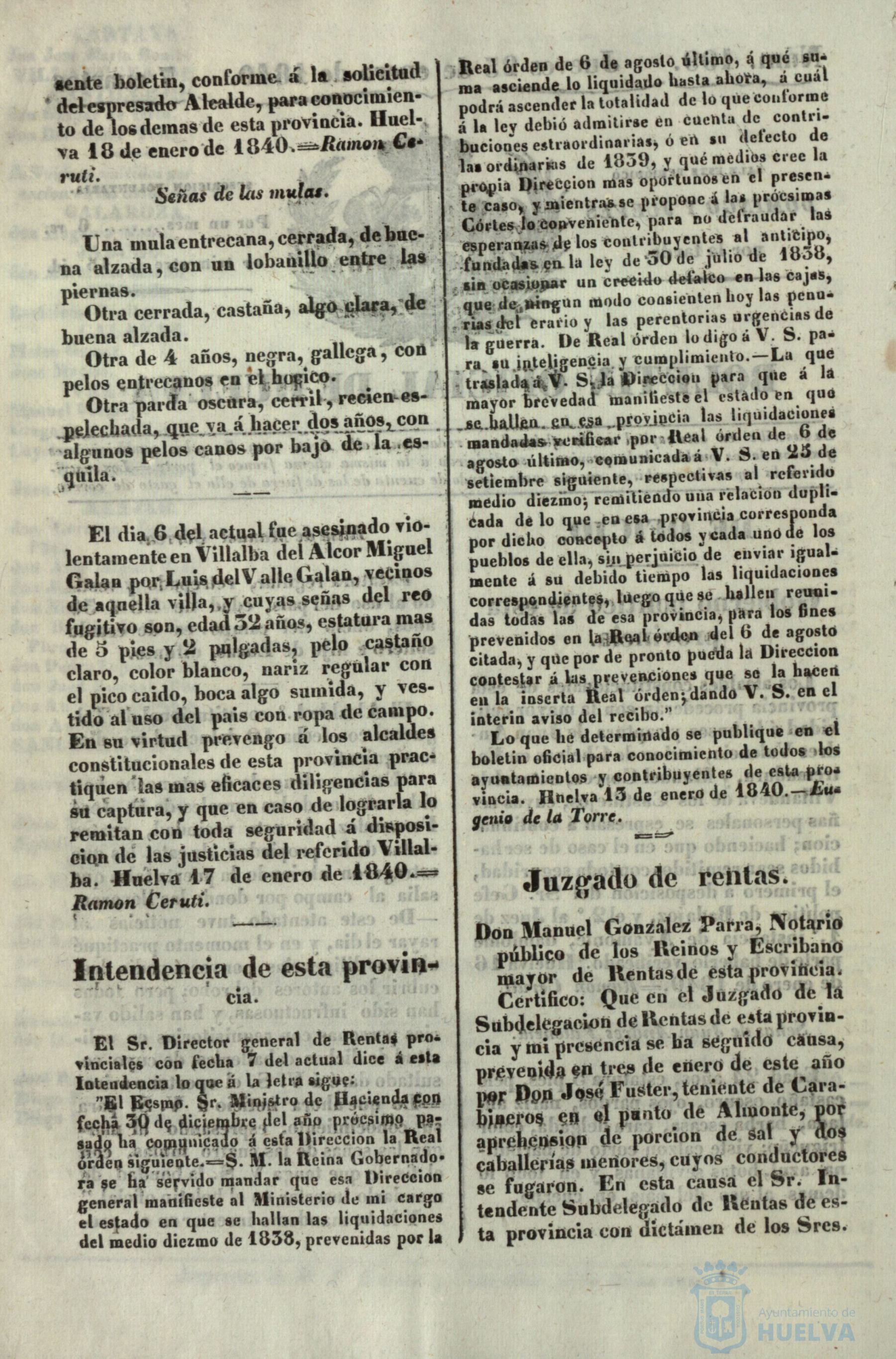 * Image 31