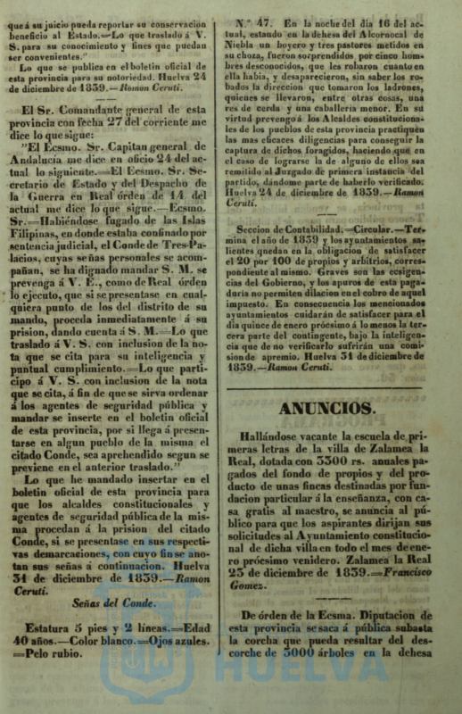 * Image 5