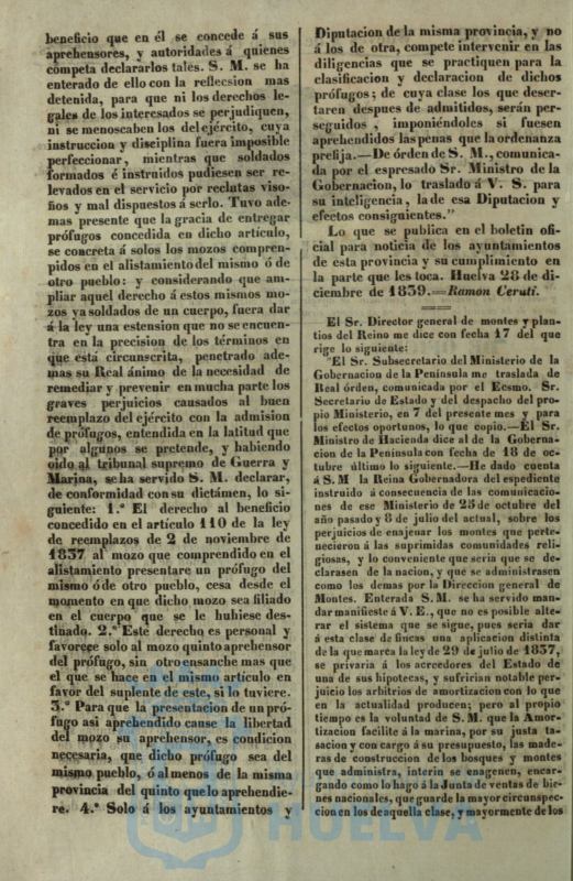 * Image 4