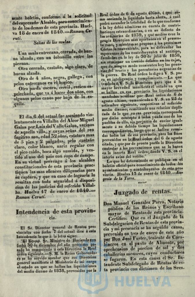 * Image 31