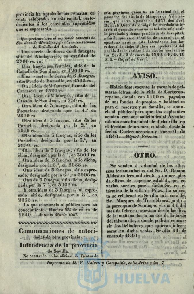 * Image 33