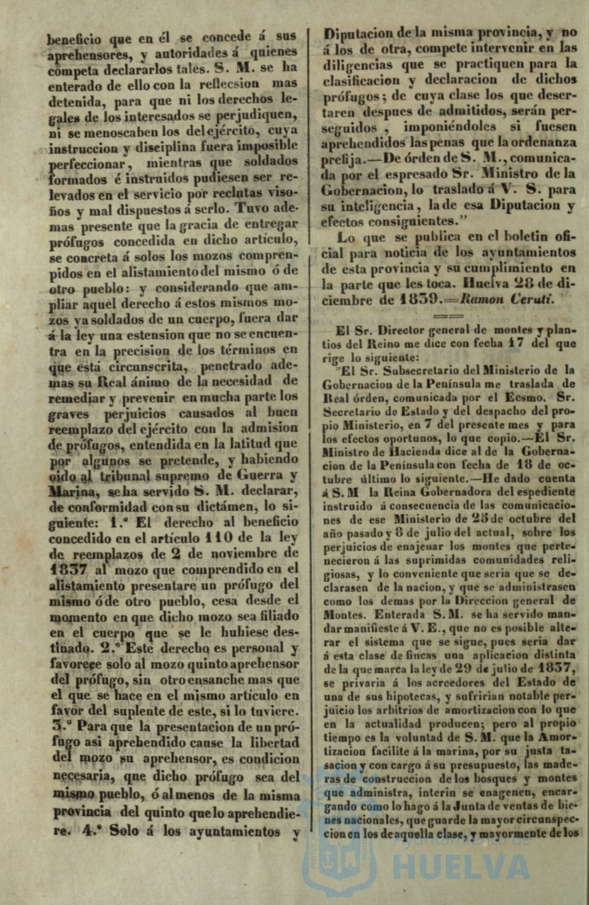 * Image 4