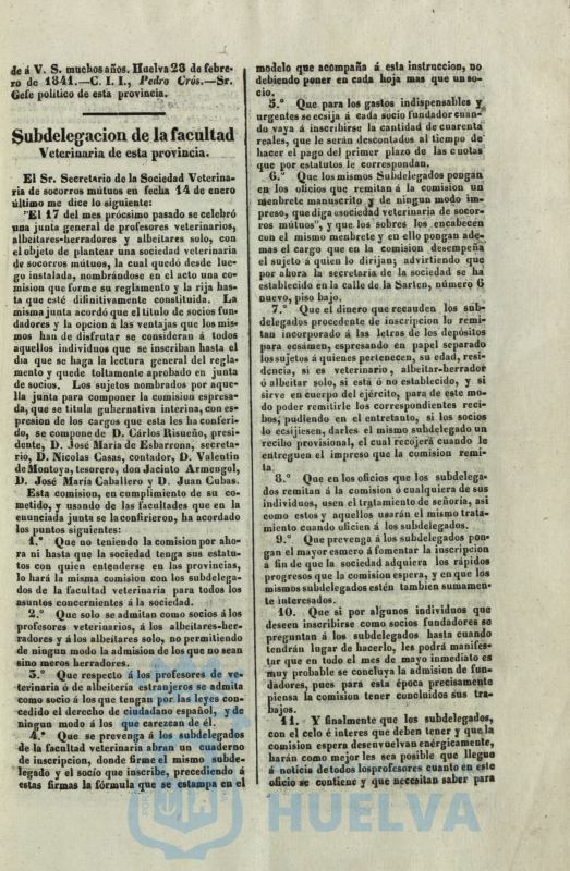 * Image 113