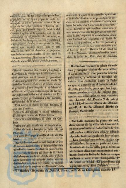 * Image 213