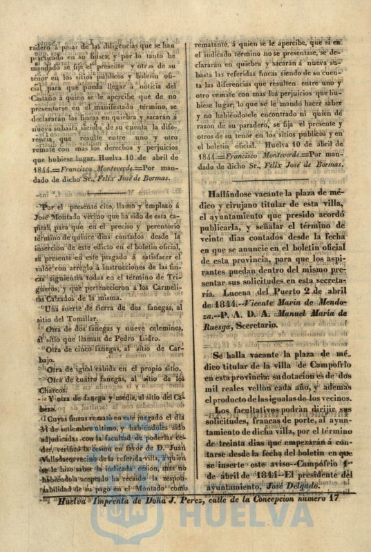 * Image 213