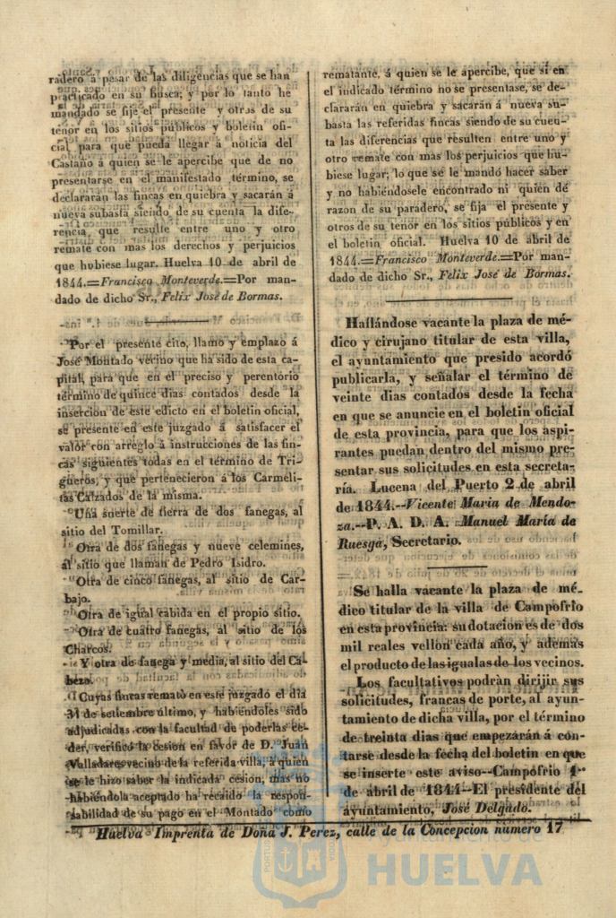 * Image 213