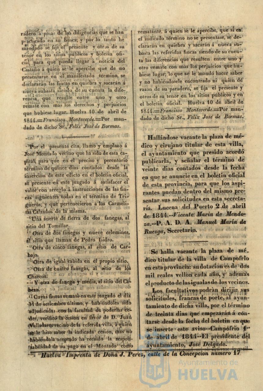 * Image 213
