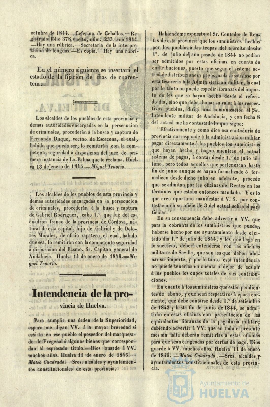 * Image 39