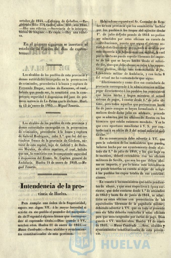* Image 39