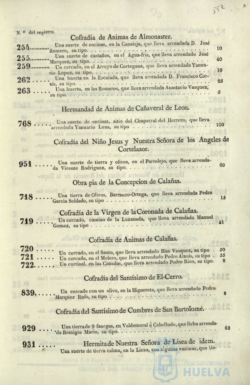 * Image 306