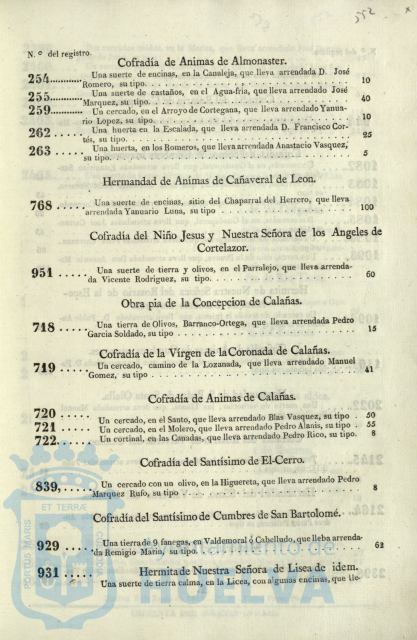 * Image 306