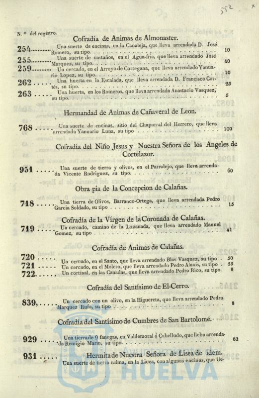 * Image 306