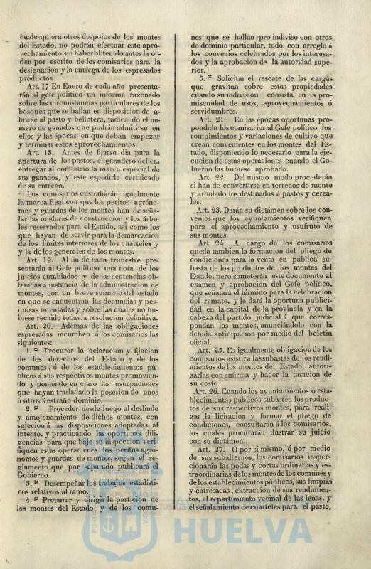 * Image 224