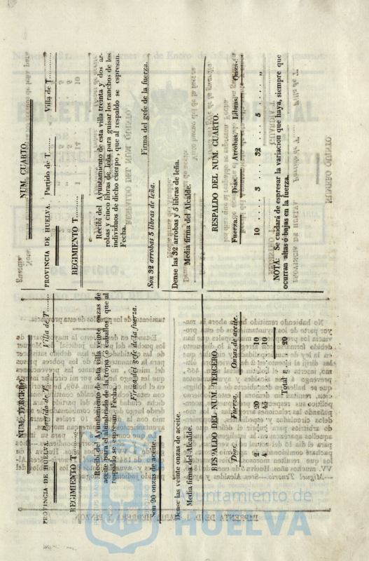* Image 12