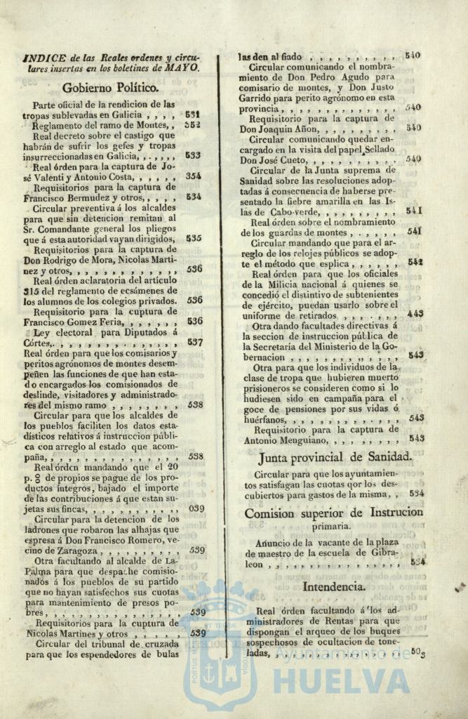 * Image 311