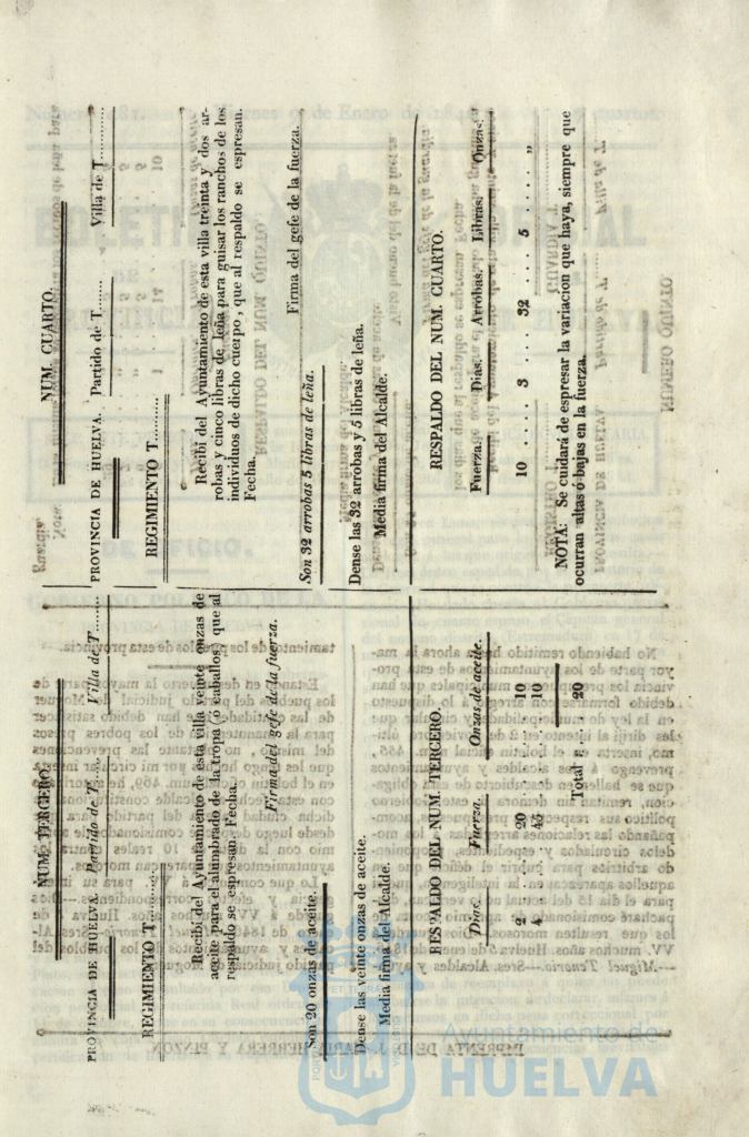 * Image 12