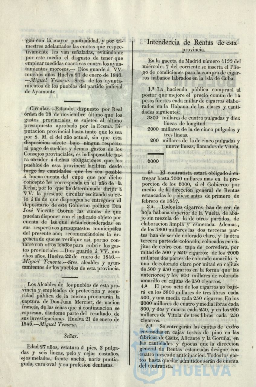 * Image 39