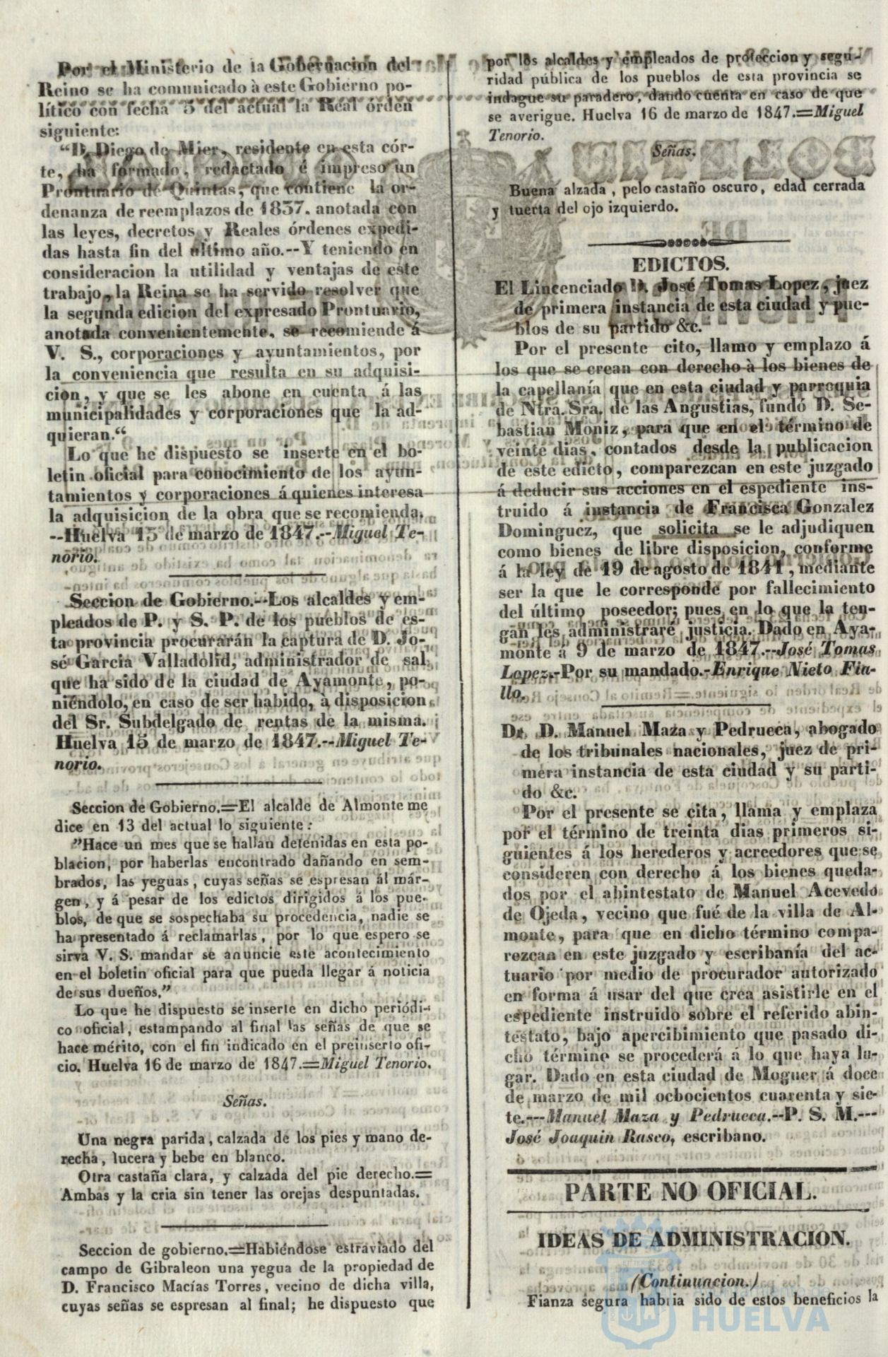 * Image 130