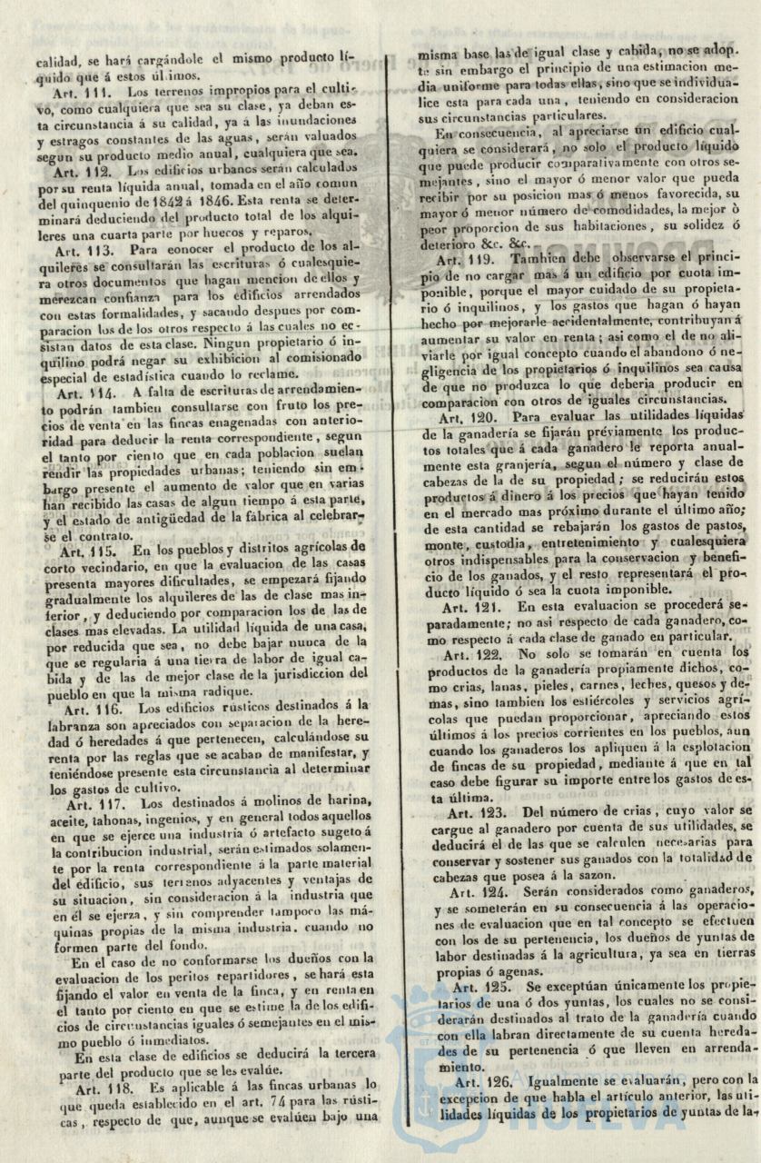 * Image 31