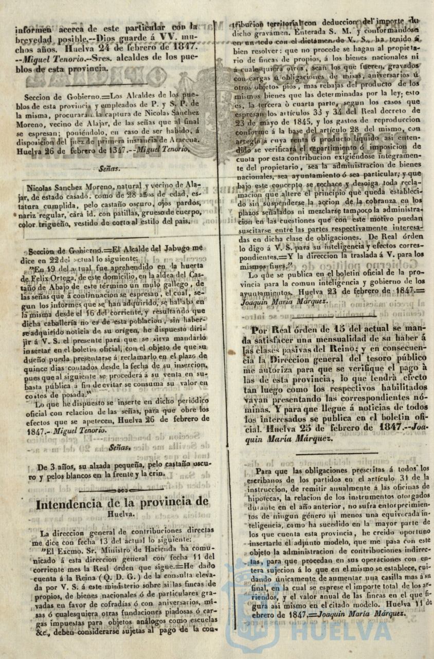 * Image 102
