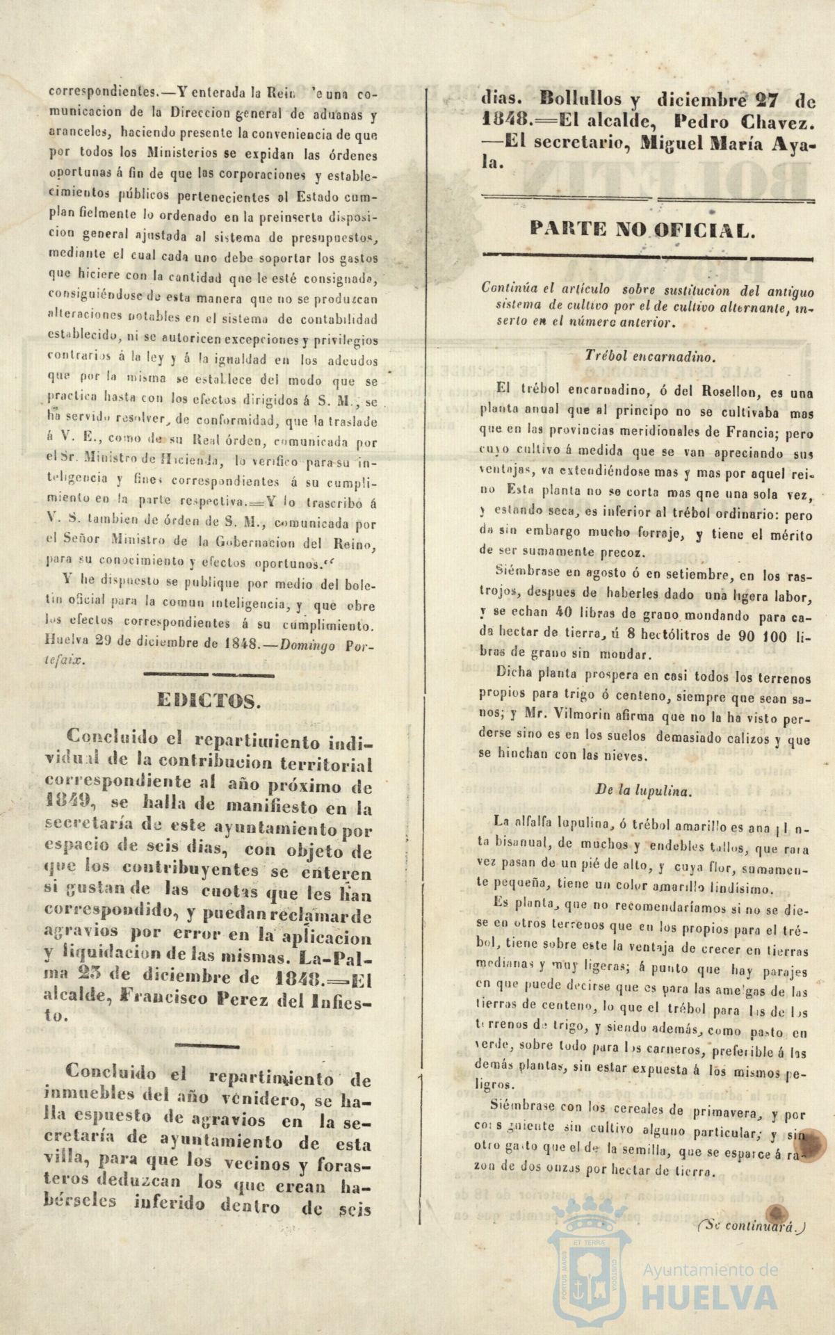 * Image 4