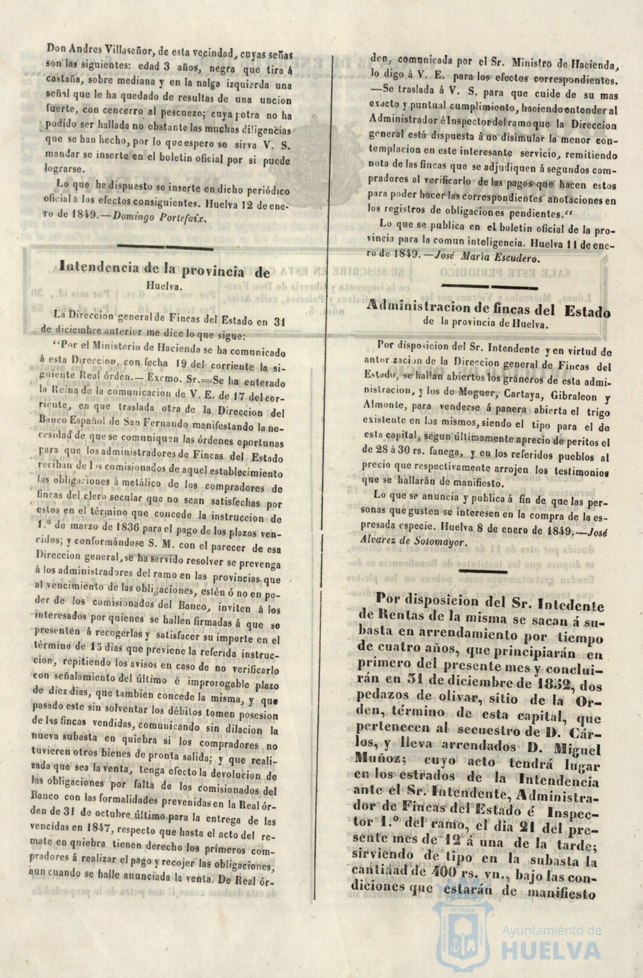 * Image 30