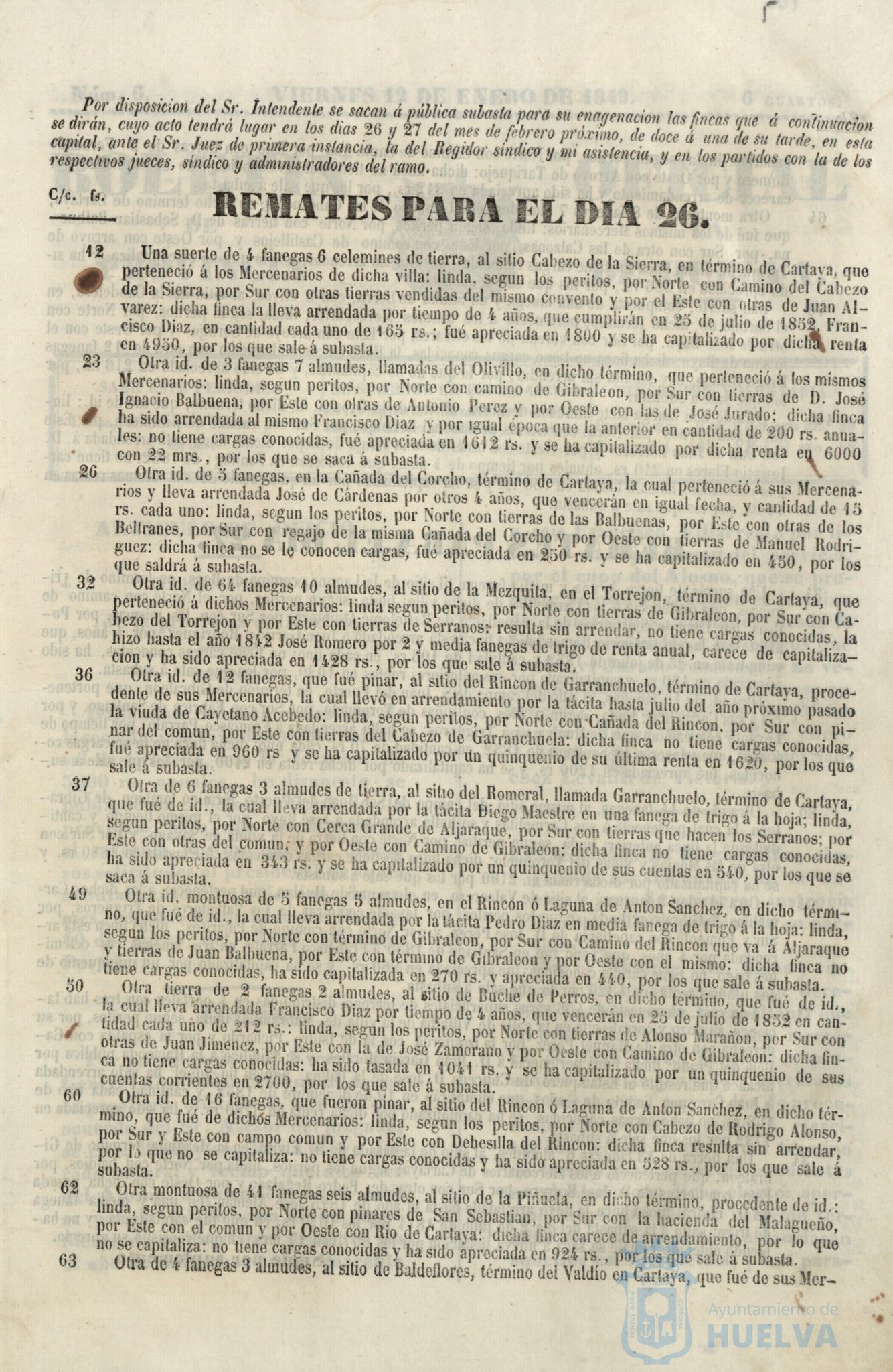 * Image 21