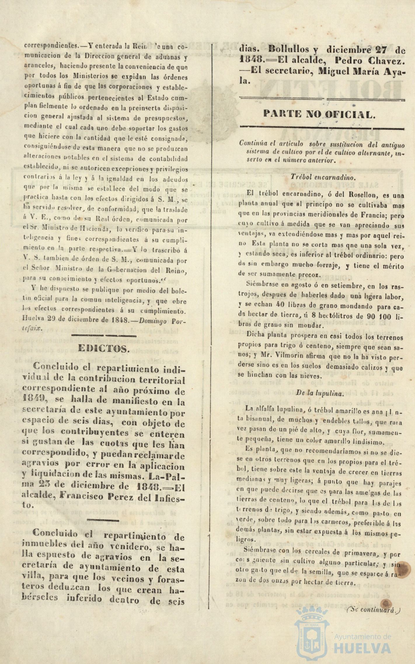 * Image 4