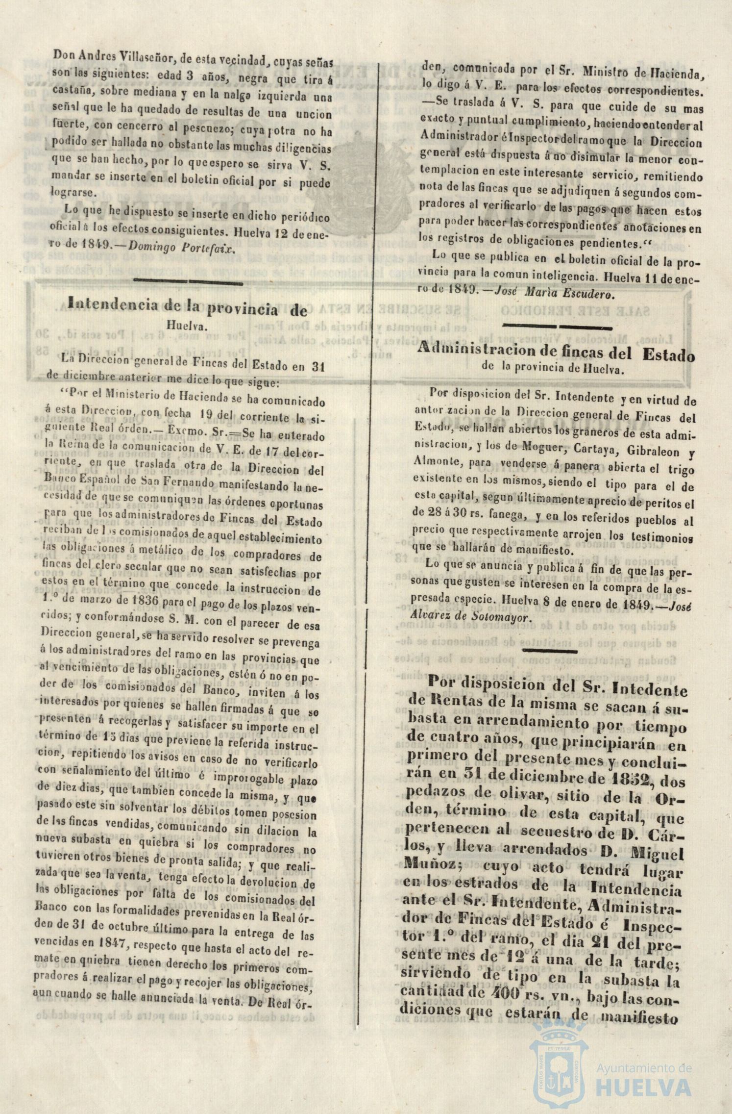 * Image 30