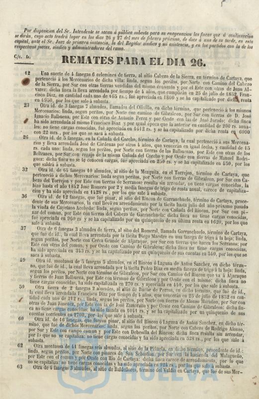 * Image 21