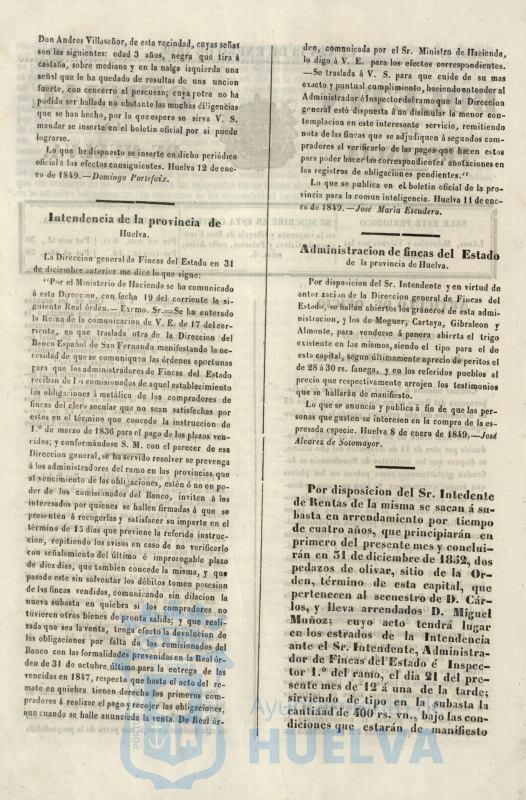 * Image 30