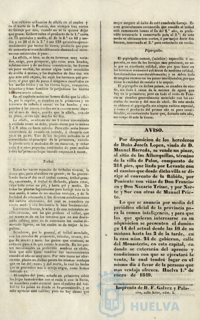 * Image 10