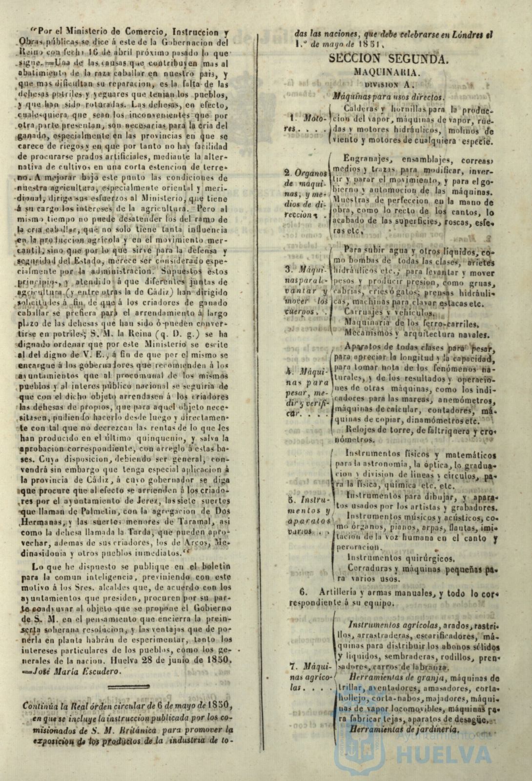 * Image 305