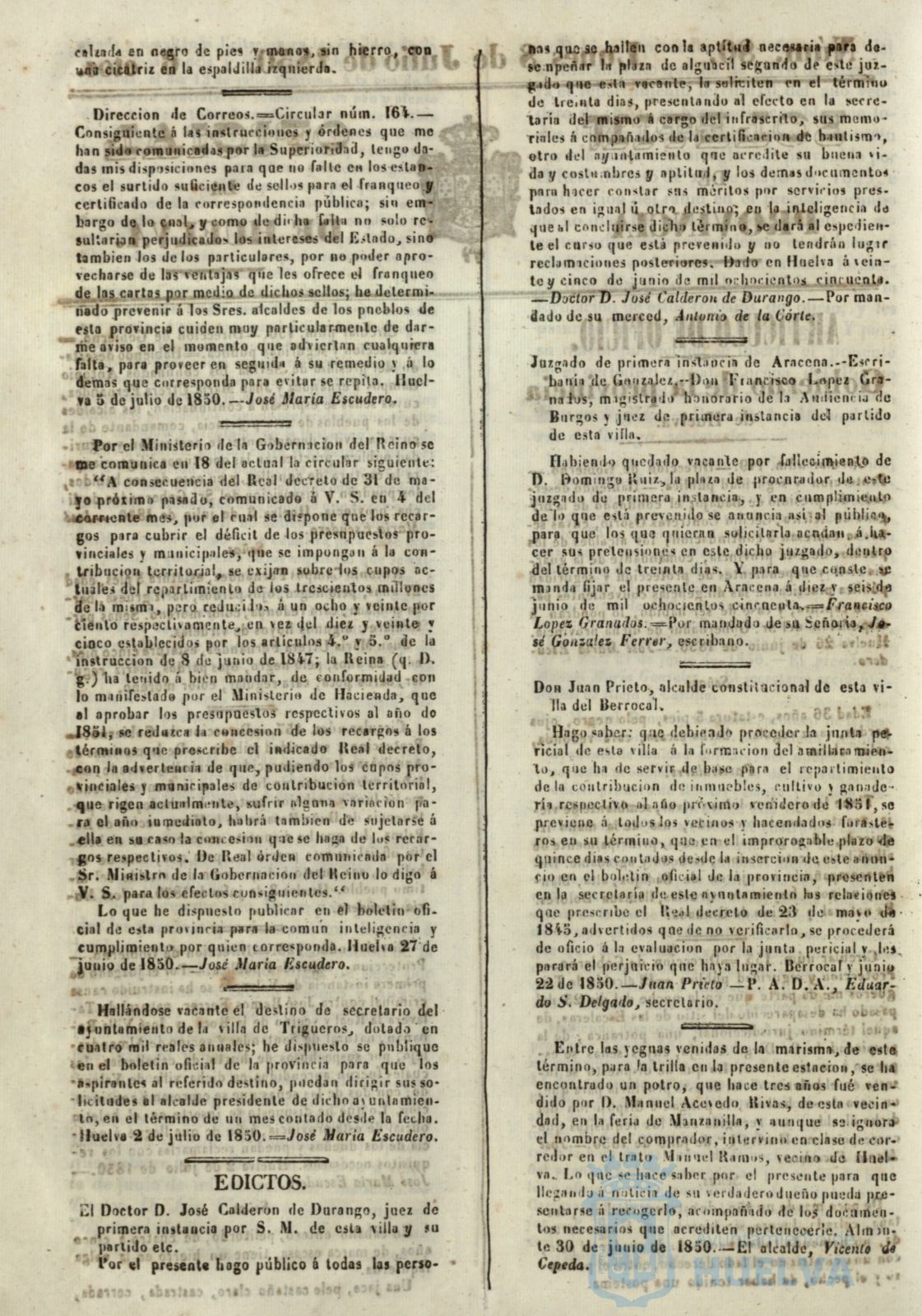 * Image 316