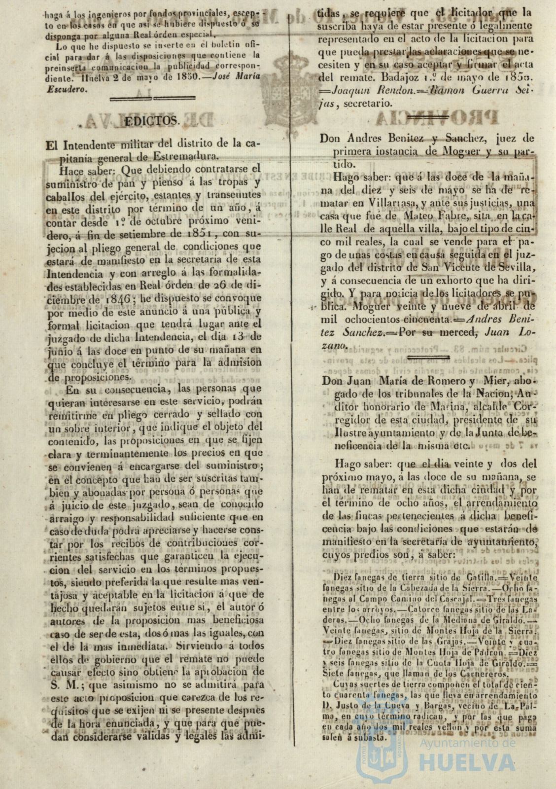 * Image 217