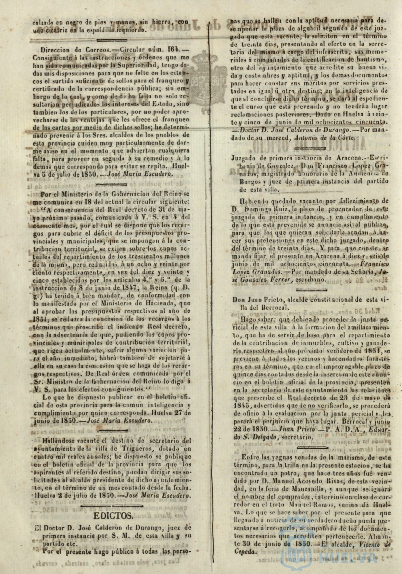 * Image 316