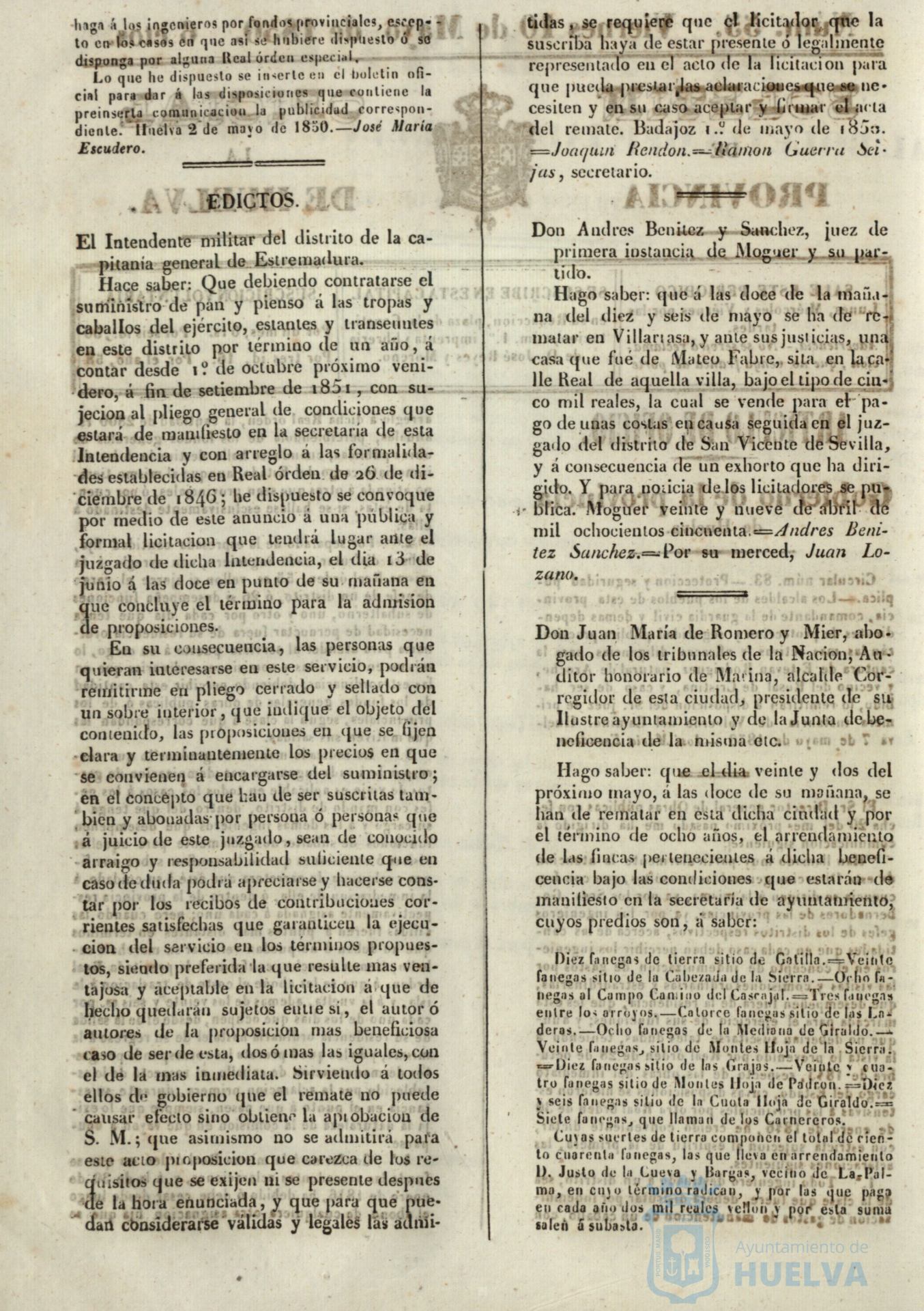 * Image 217