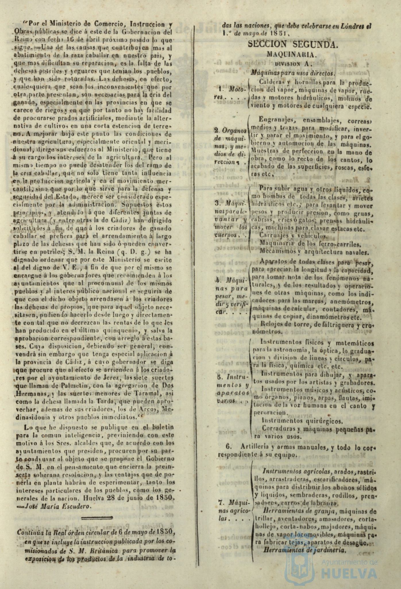 * Image 305