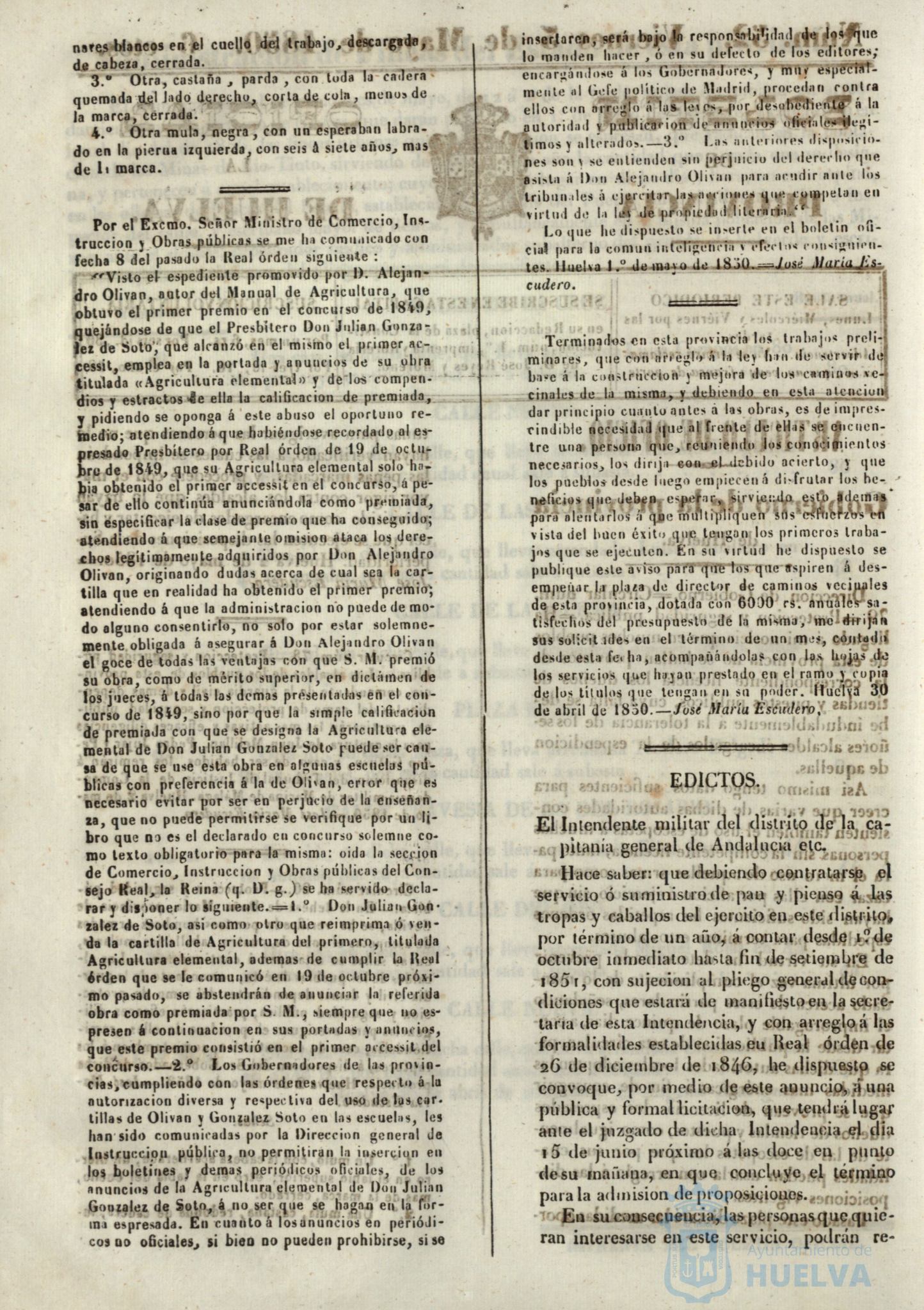 * Image 204