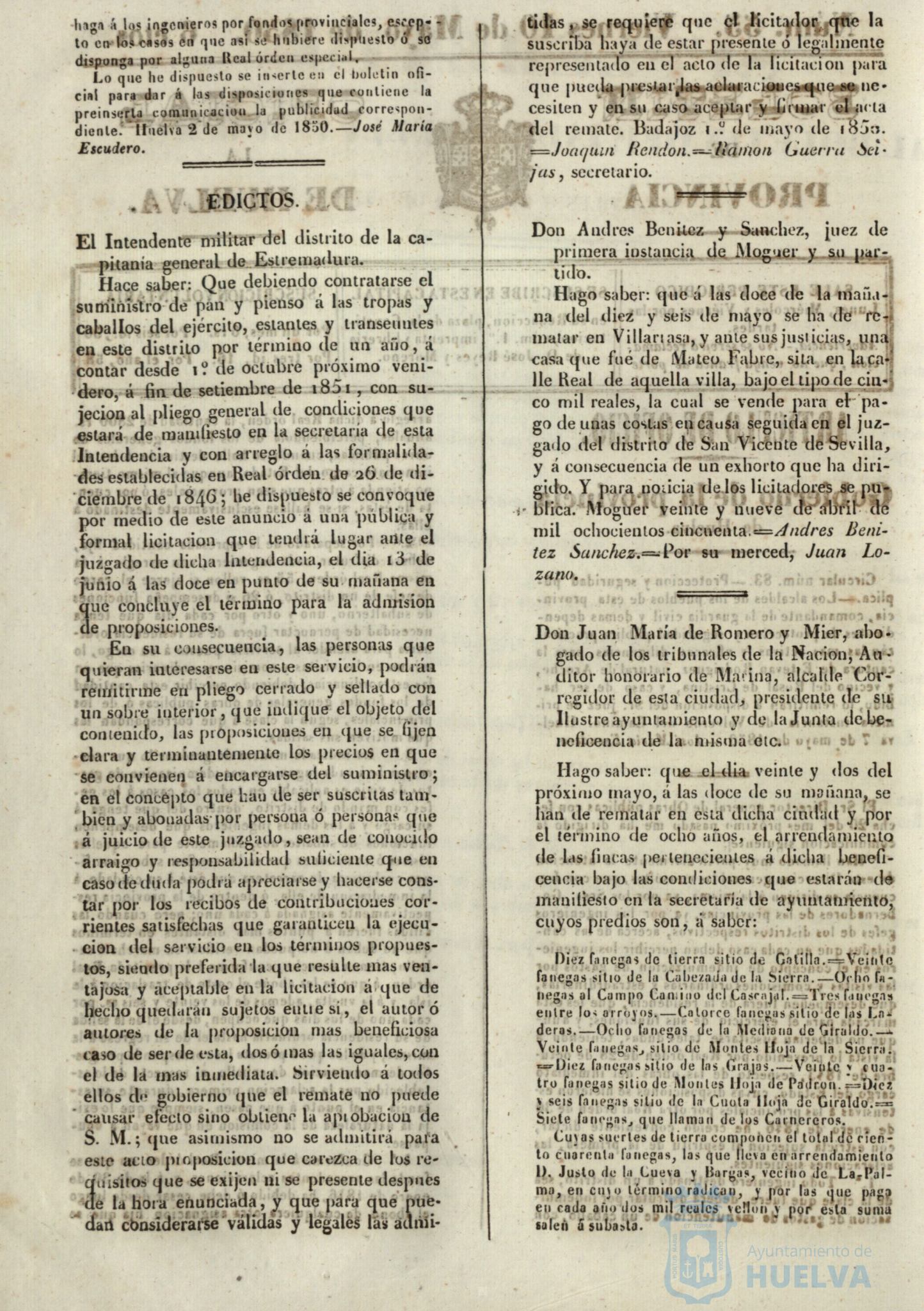 * Image 217