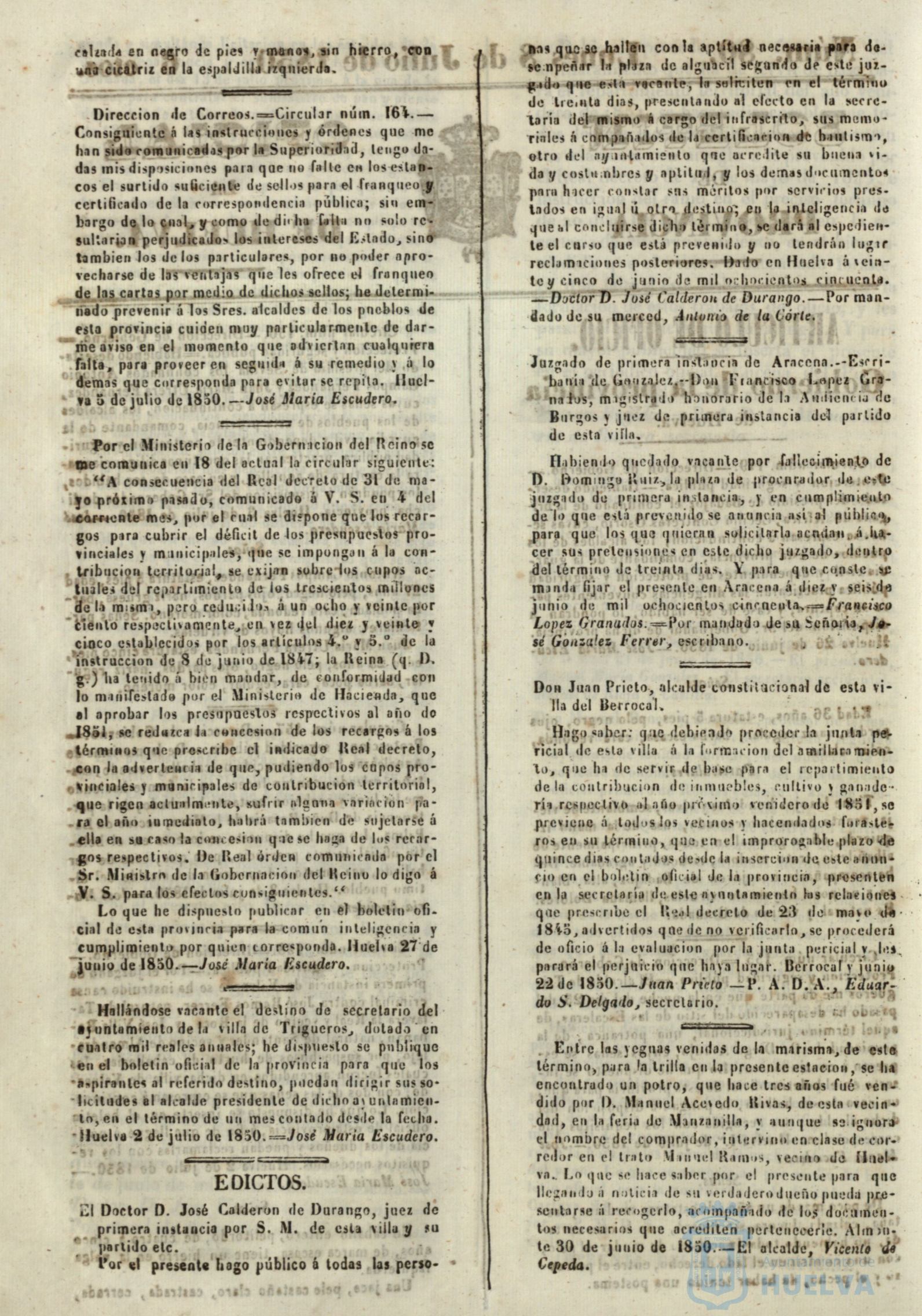 * Image 316