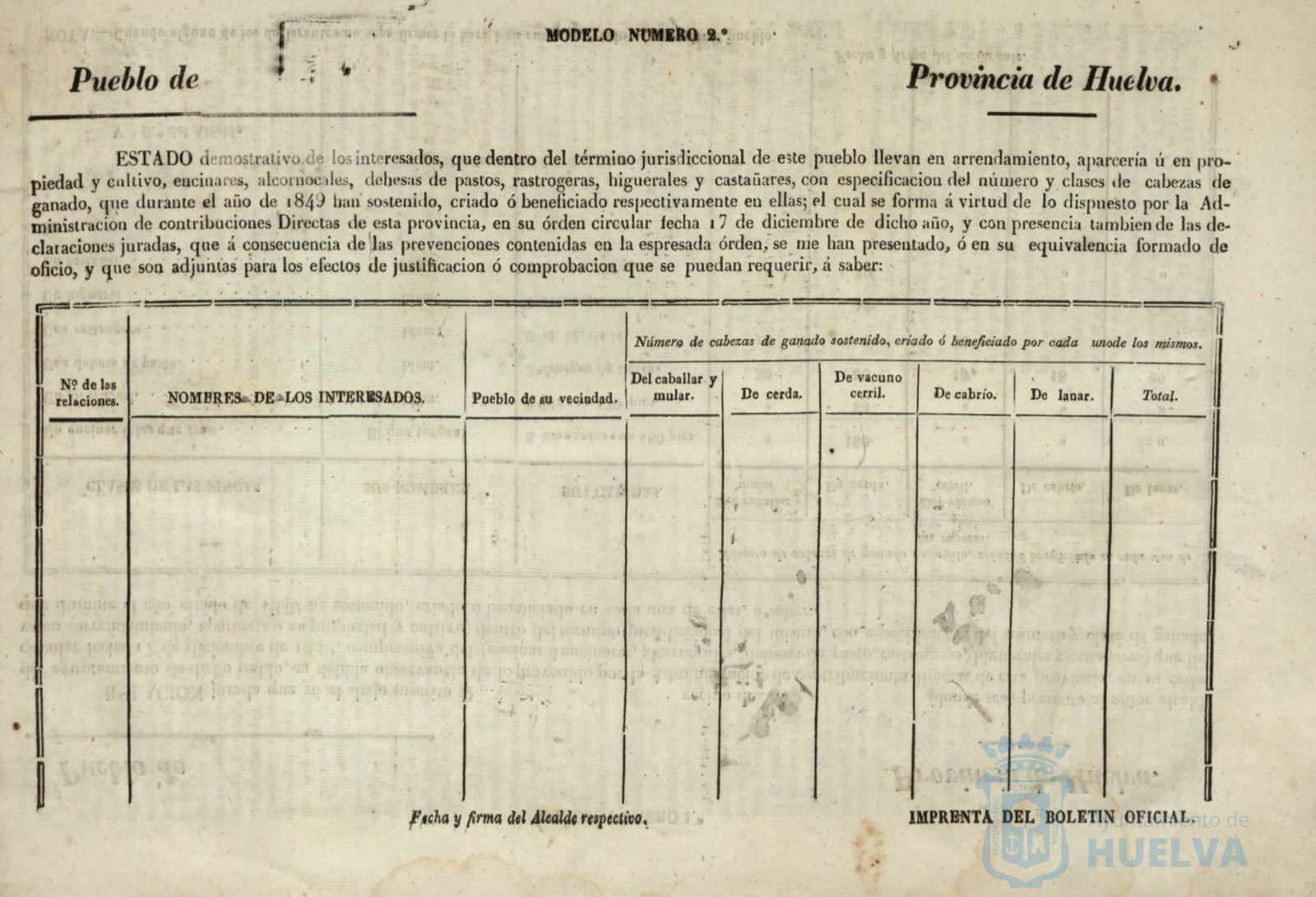 * Image 5