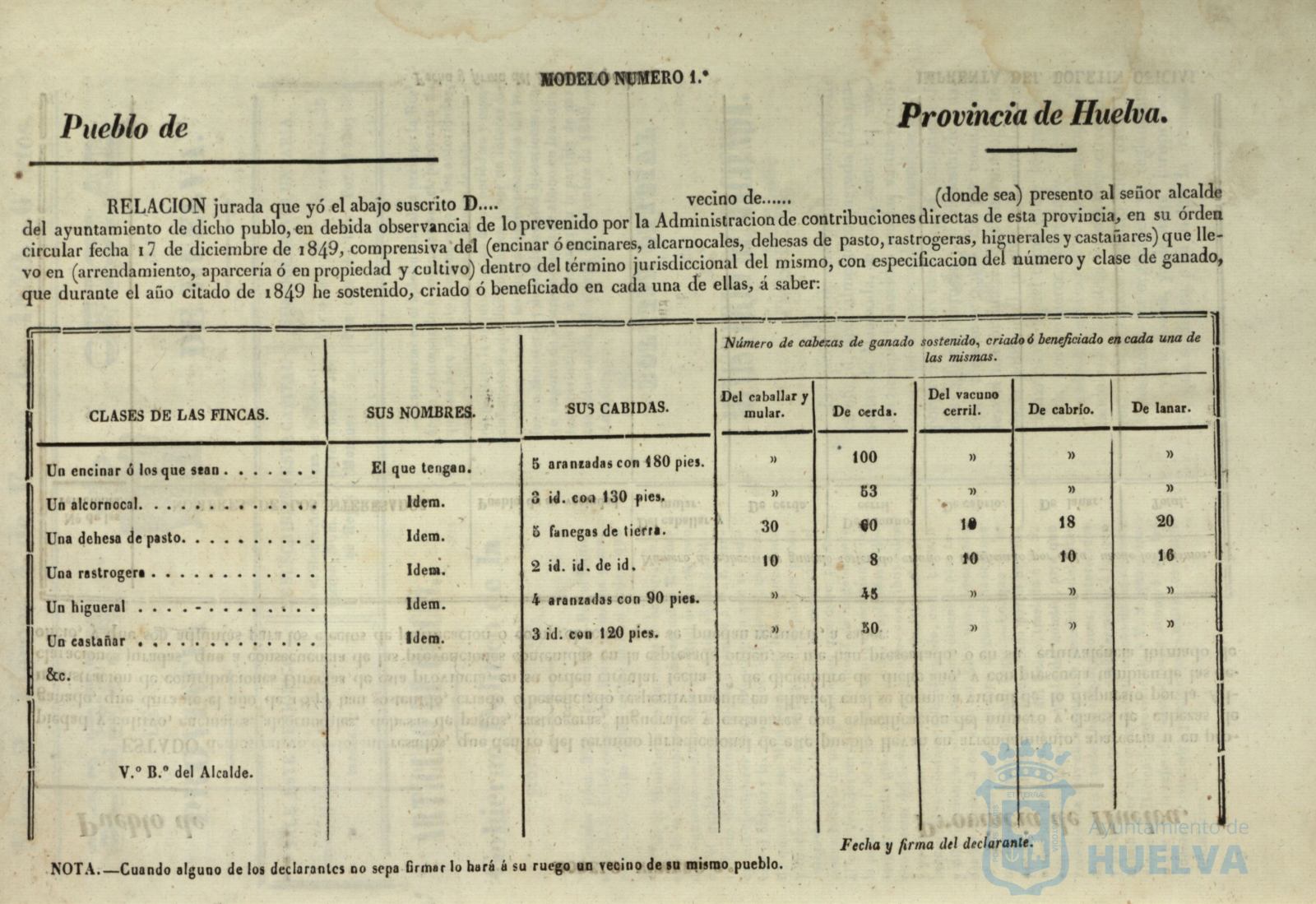 * Image 4