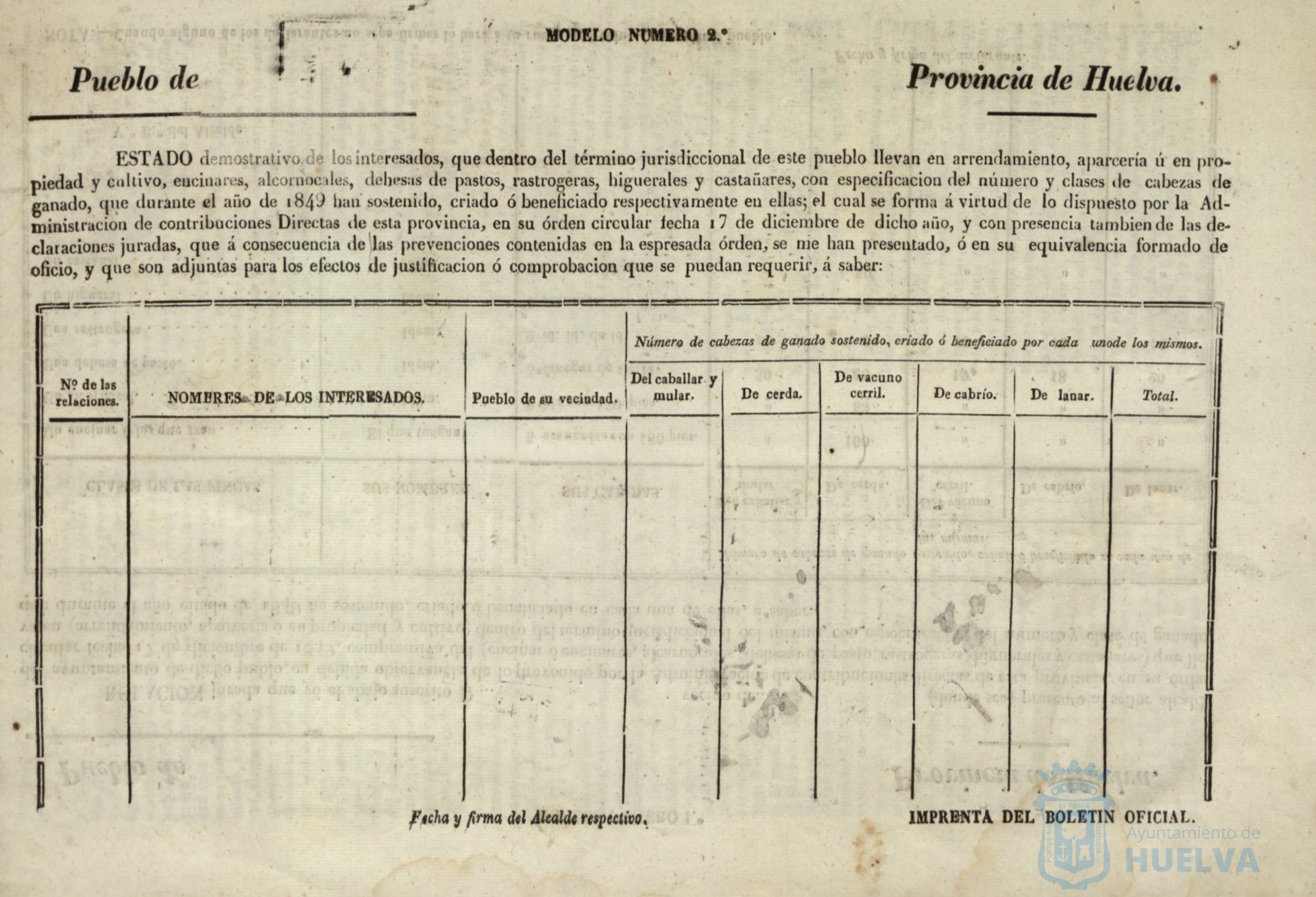 * Image 5