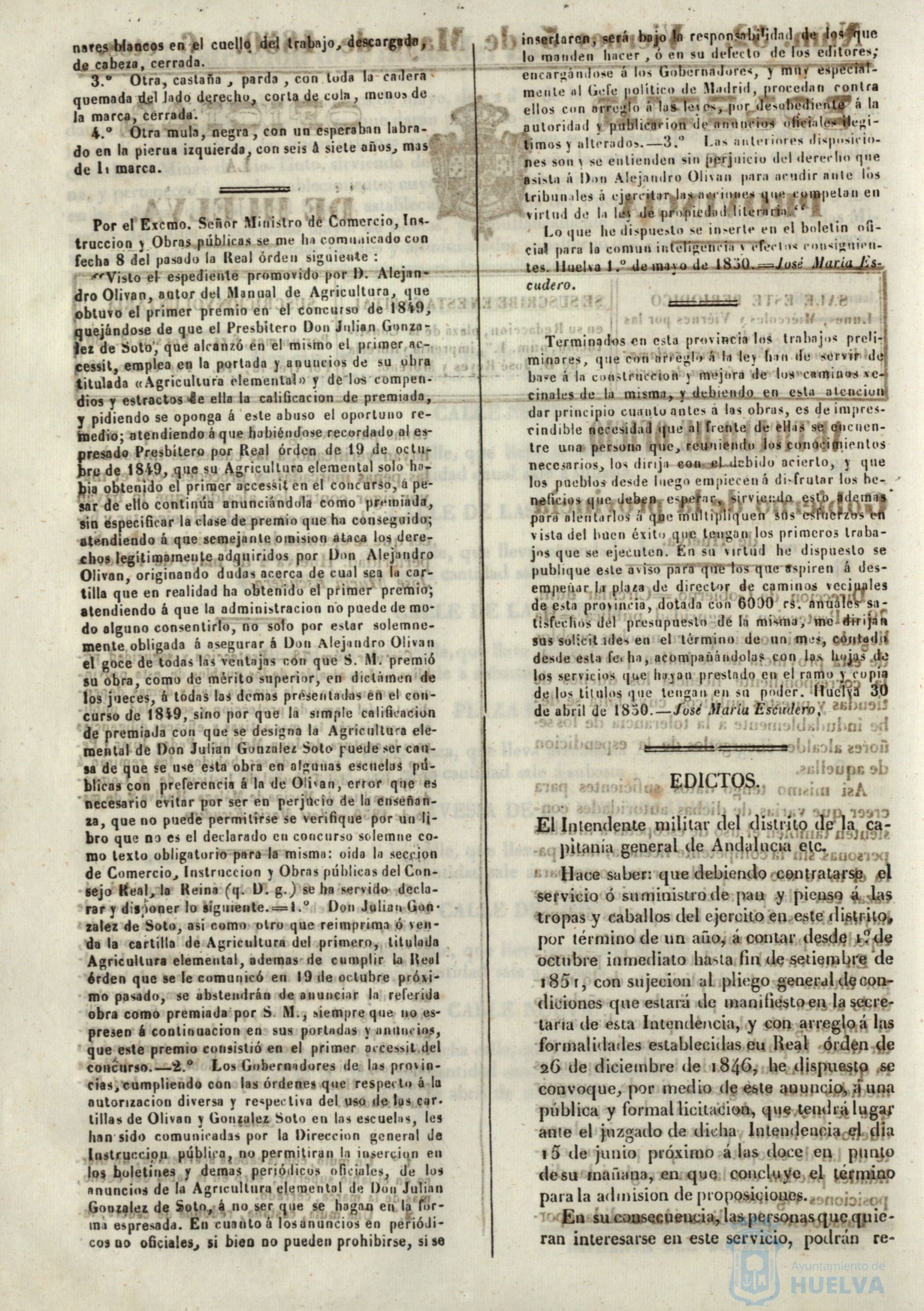 * Image 204