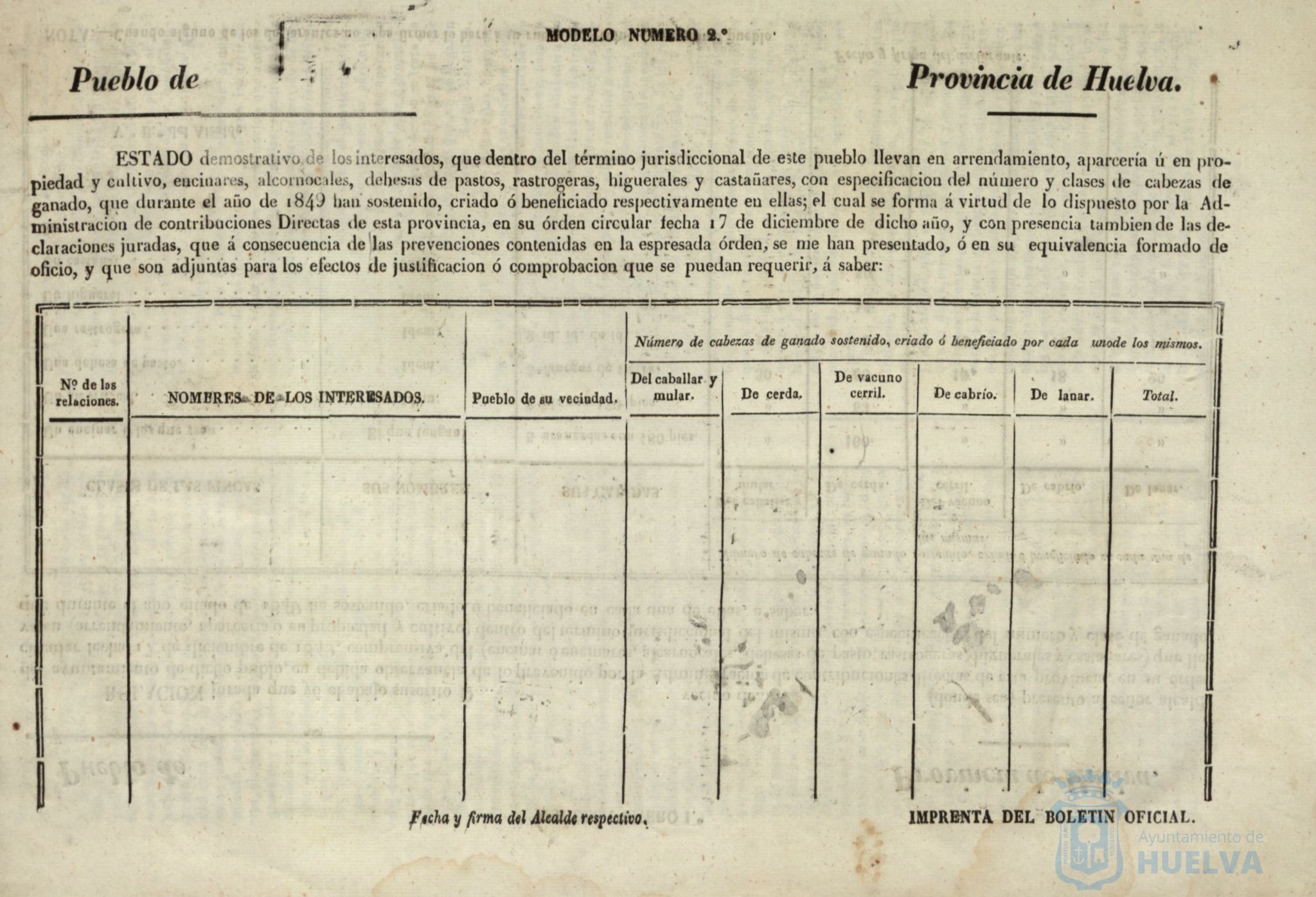* Image 5