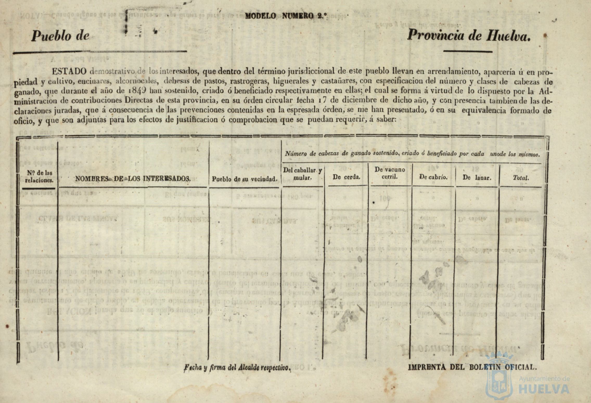 * Image 5