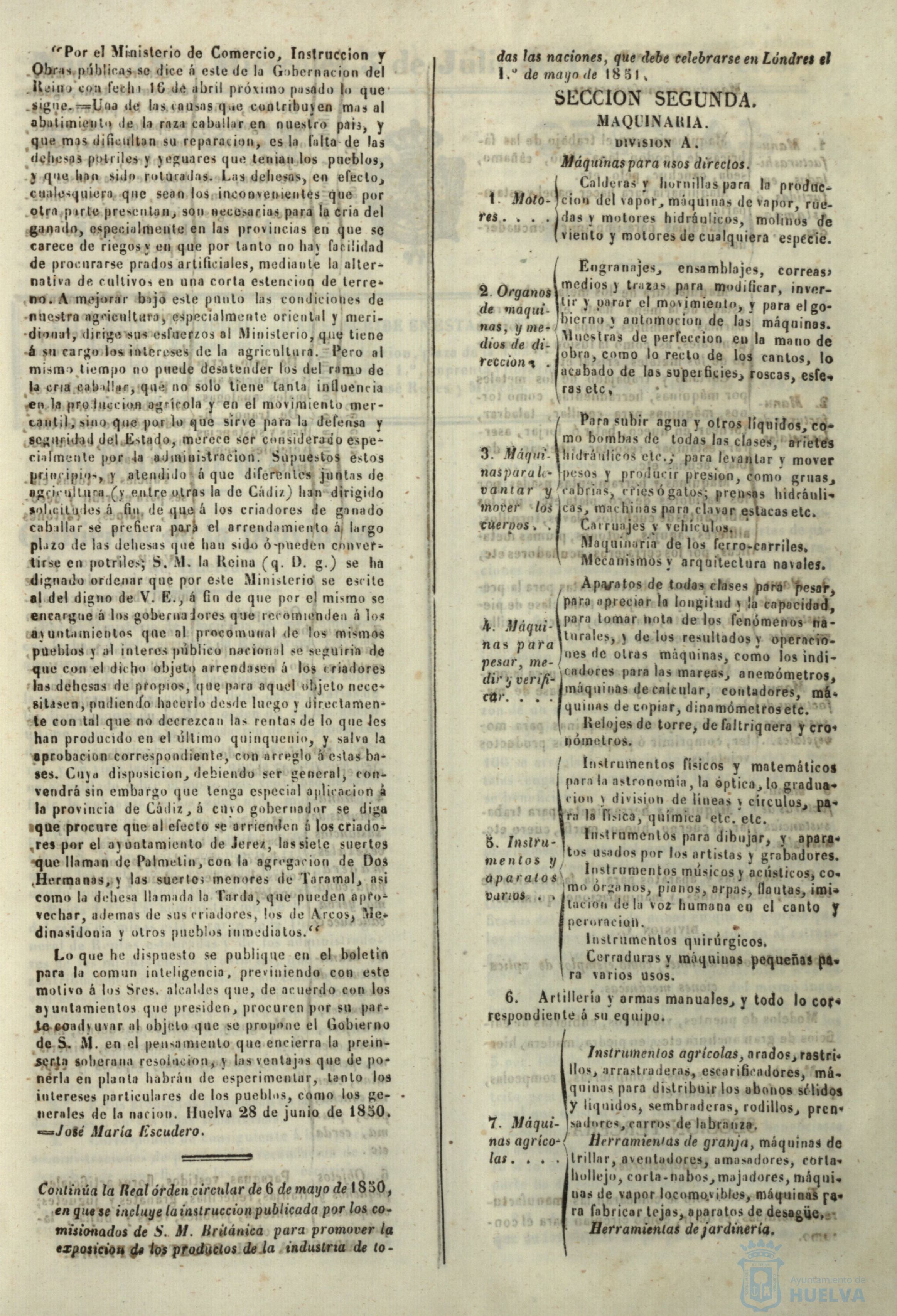* Image 305