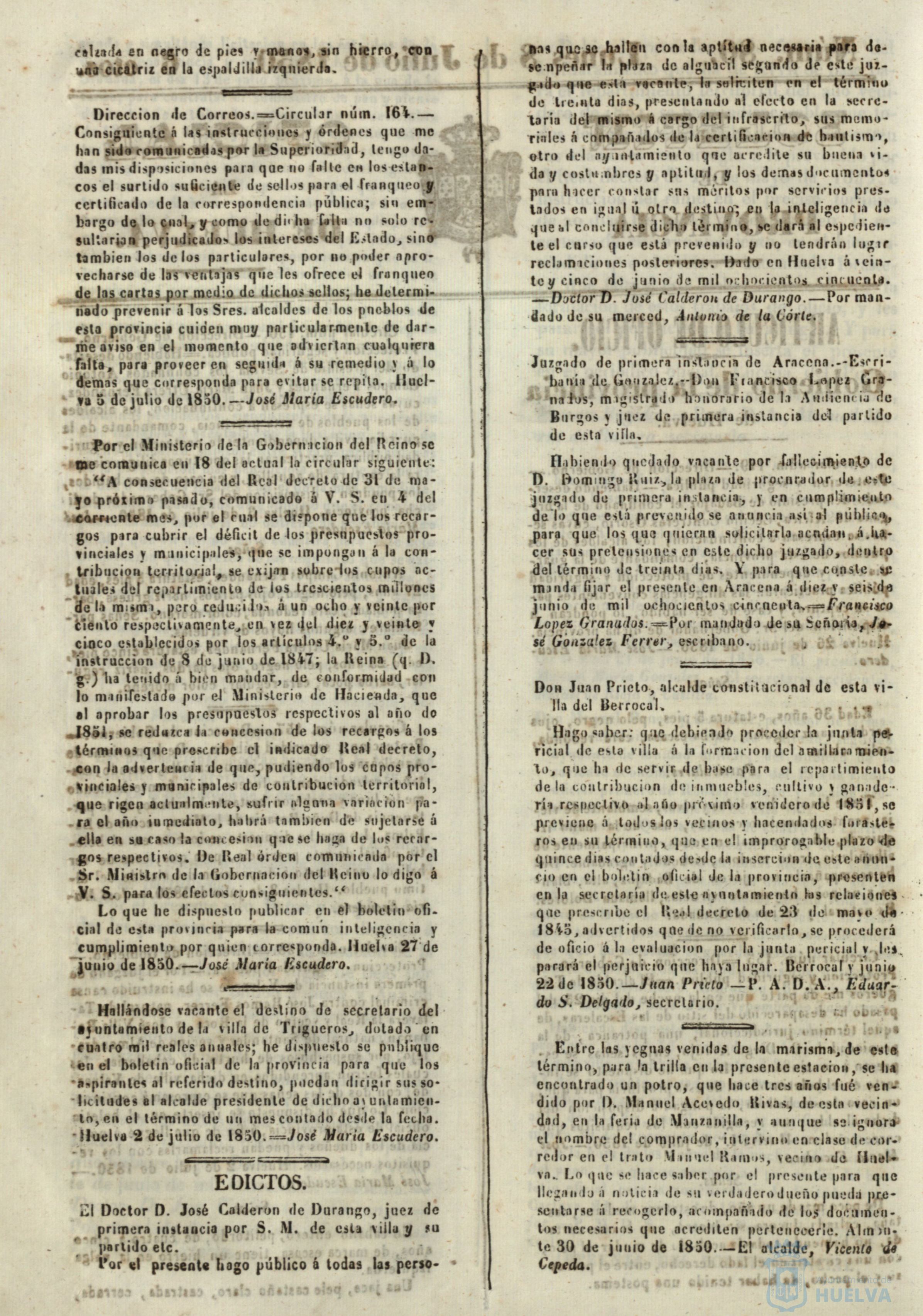 * Image 316