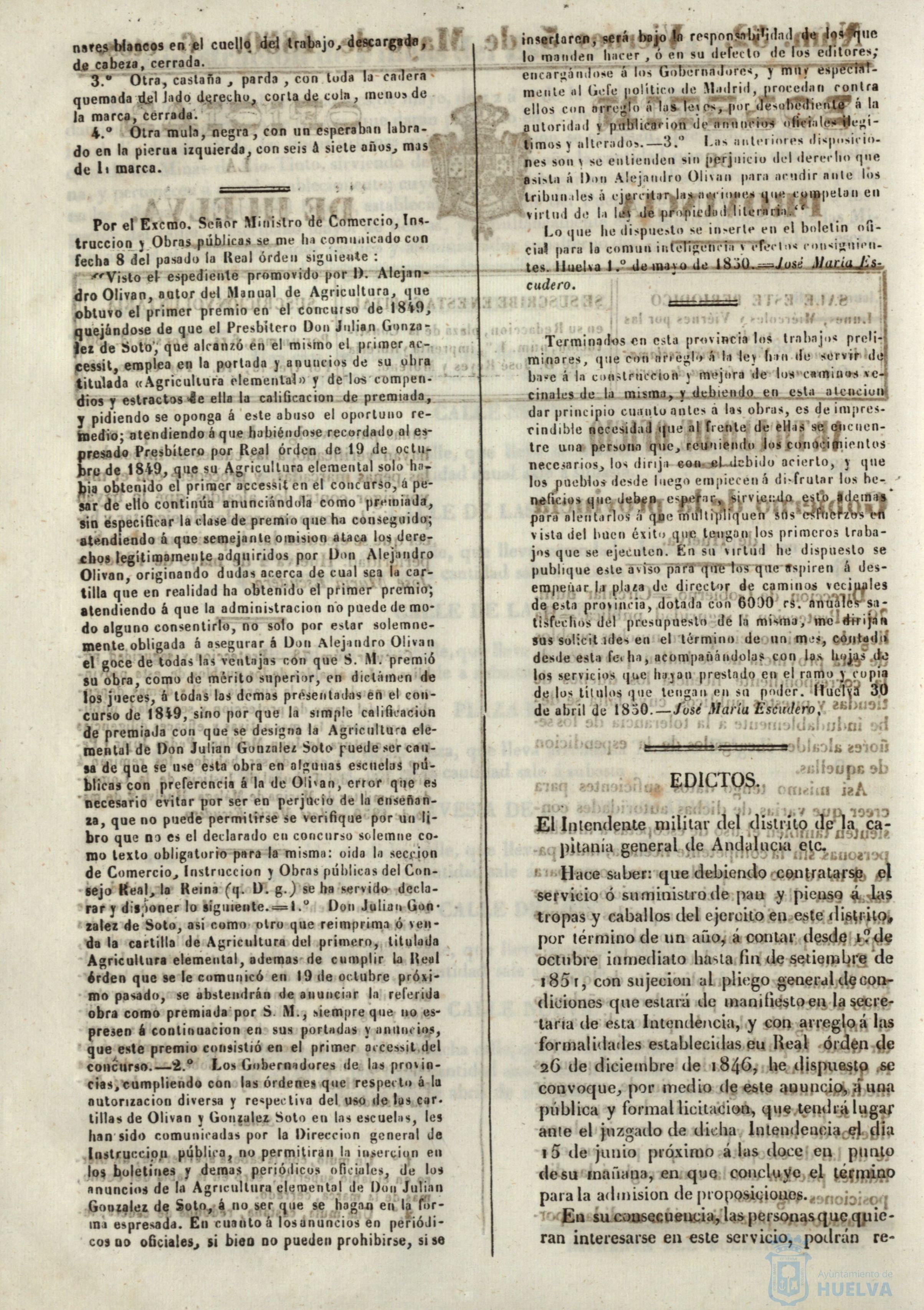* Image 204